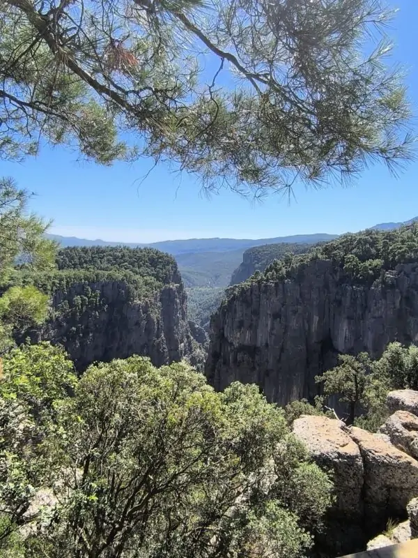 Каньон Тазы + Рафтинг + Зиплайн + Кабрио Сафари + Каньон Кёпрюлю (5 в 1)