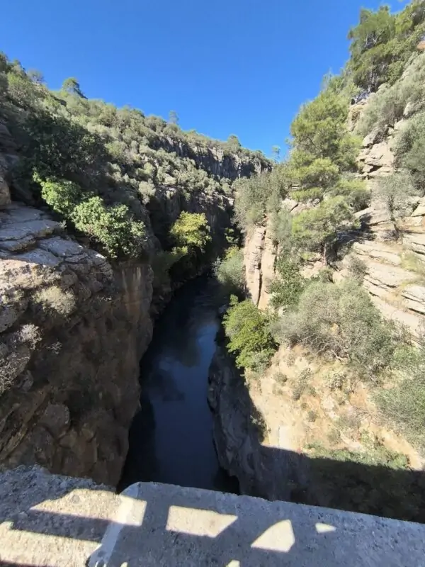 Каньон Тазы + Рафтинг + Зиплайн + Кабрио Сафари + Каньон Кёпрюлю (5 в 1)