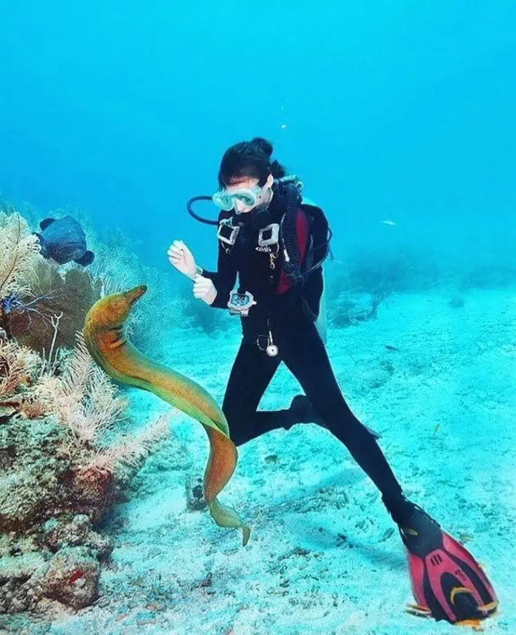 Дайвинг в Кушадасы