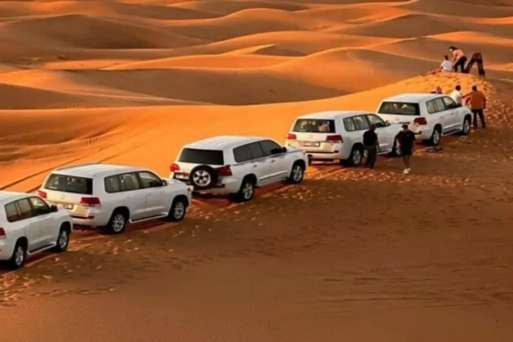 Экскурсия «Сады и парки Петербурга». Летний сад. Посещение Эрмитажа